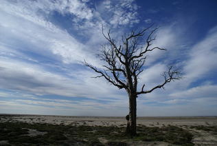 Dry lake NE Victoria. Photo KB