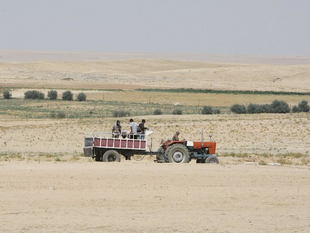 Farmers ride in their tractor in the drought-hit region of Hasaka in north-eastern Syria. Photograph: Louai Beshara/AFP/Getty Images